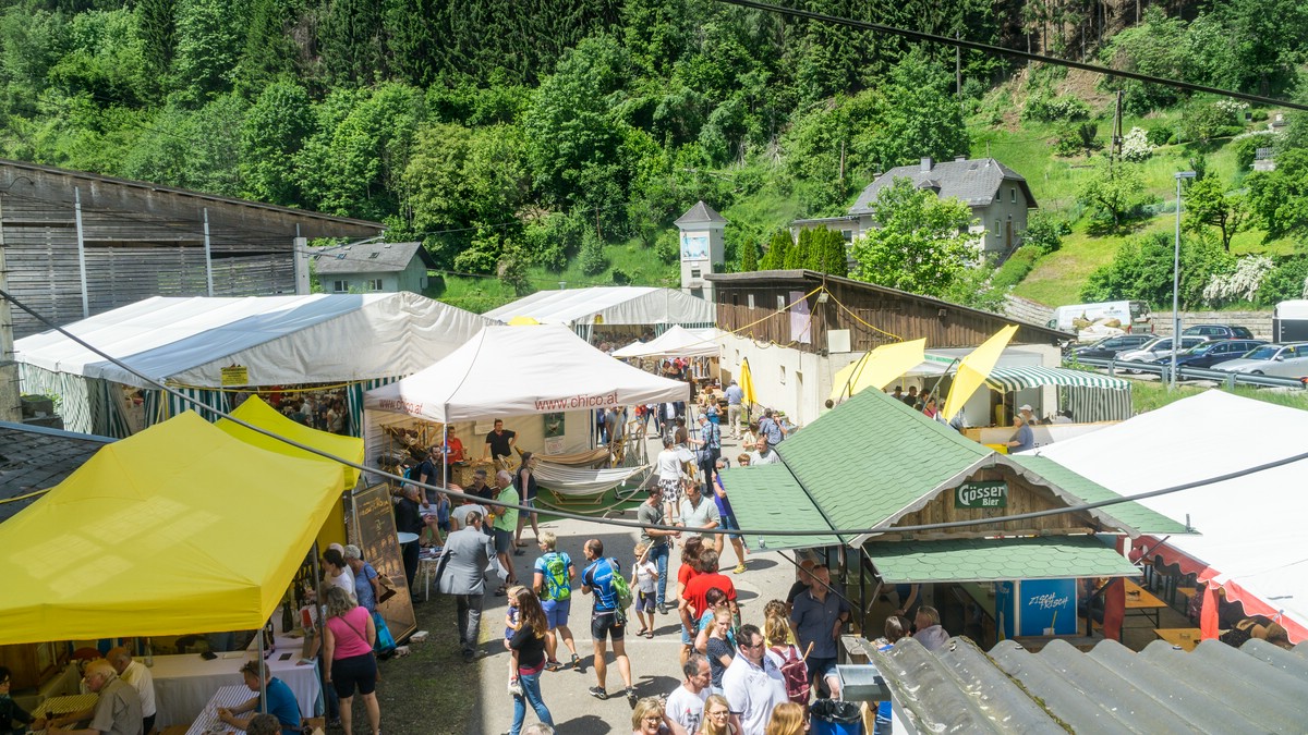 2019.06.02 Holz- & Webereimarktkt Helfenberg